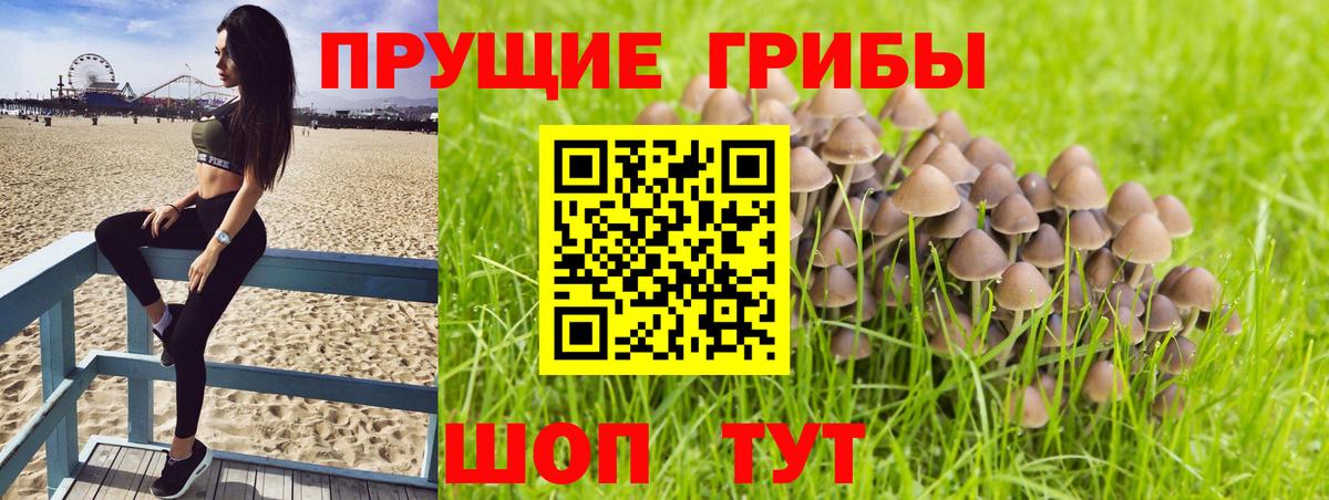 Галлюциногенные грибы прущие грибы Россошь