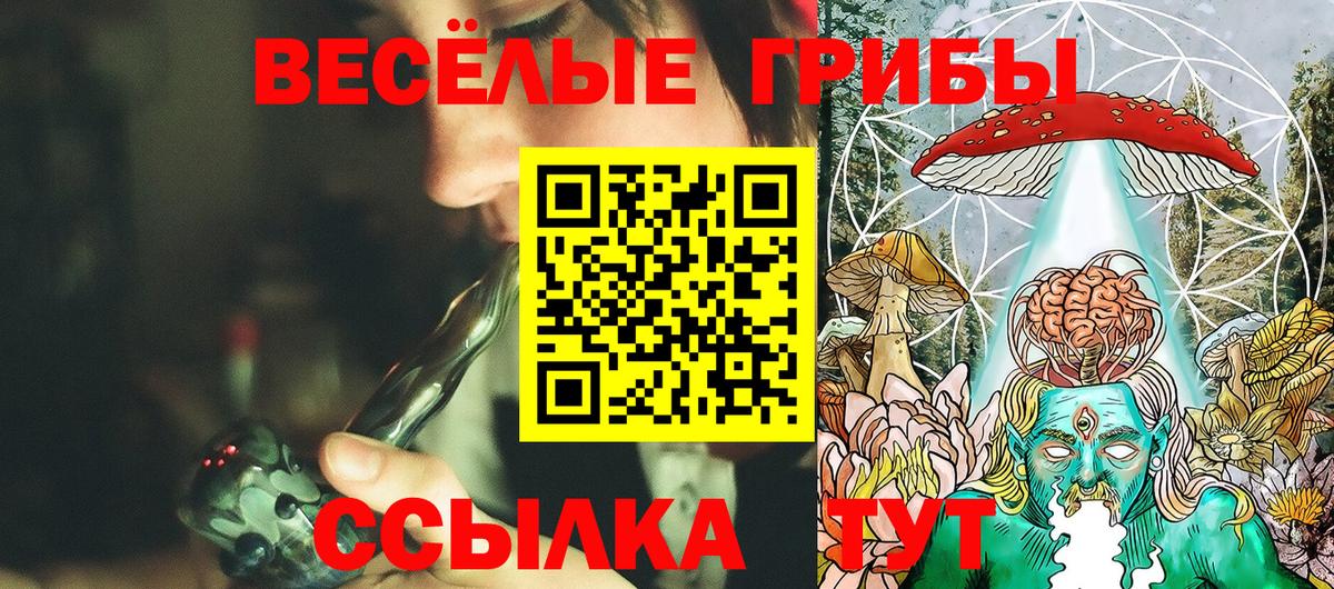 Галлюциногенные грибы Psilocybine cubensis  Вход с VPN  где найти наркотики  Россошь 